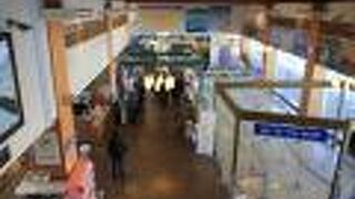 網走の流氷観光はここからスタート