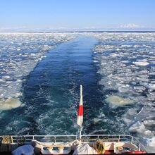 流氷の海を割って進みます