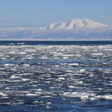 知床の山々とオホーツクの流氷