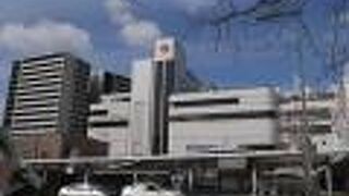 面白いものに出会えた。