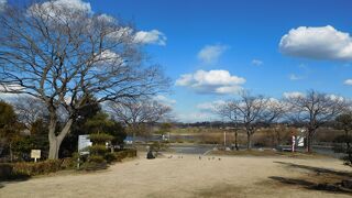 江戸川河川敷に続く広々とした公園