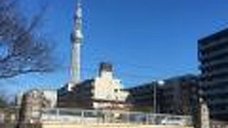 橋の下も歩ける