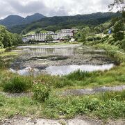 志賀高原にある多くの池の一つ