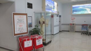 到着口にサーモグラフィーが設置