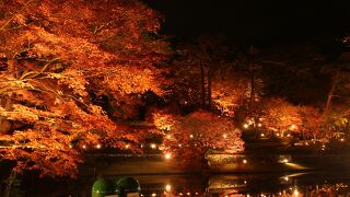 有料施設、ライトアップもきれいでした