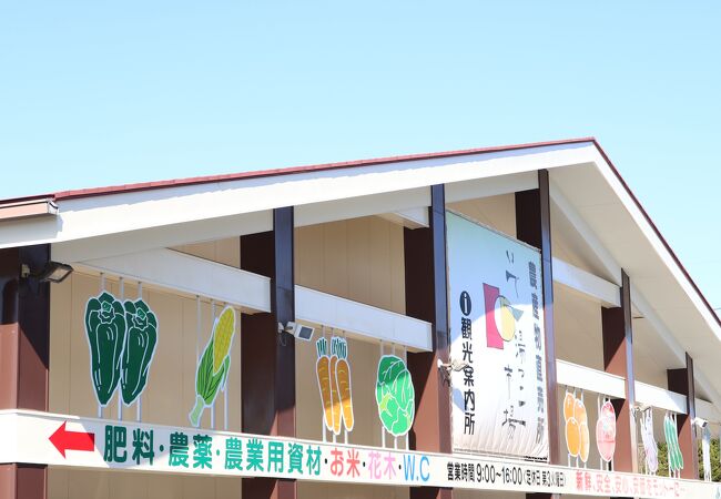 伊東温泉のおすすめショッピング お買い物スポット クチコミ人気ランキングtop9 フォートラベル 静岡県