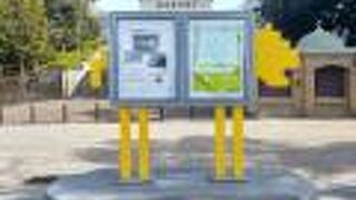 綺麗でポップになっています