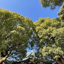 とても良い天気でした