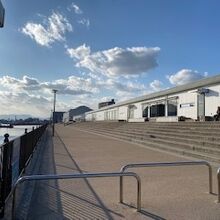 海に面した南向きのエリア