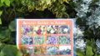 お花の知識を得ながら