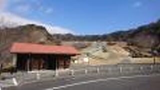 意外とキレイな池