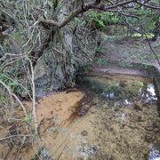 世界でも珍しい、岩の間から塩水が流れ出て川になっている。