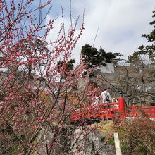 小田原市郷土文化館 