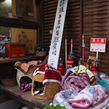 社務所横のねぐら。警戒心が強い猫もいるけど撫でさせてくれた