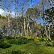 青々と輝く 情趣溢れた苔庭園が美しい：祇王寺