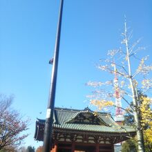 台徳院霊廟惣門と東京タワー