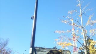 時代の遷り変わりも見られて