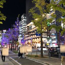 難波近くの御堂筋