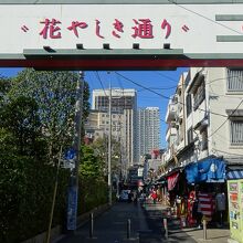 江戸の雰囲気が感じられる商店街です By オカちゃん 浅草花やしき通りのクチコミ フォートラベル