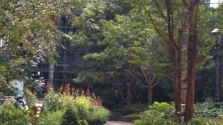 雰囲気の良い庭園