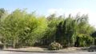 シンガポールを思い出す。