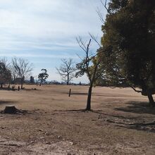 鹿寄せの場所となる「飛火野」という広場（春日大社境内）