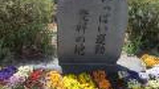 女鳥羽川の近く