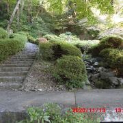 近くに国木田独歩の碑もあり、散策に素敵な庭園です
