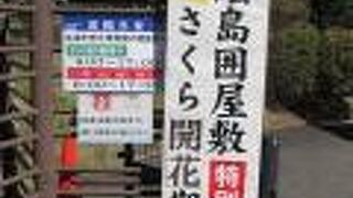 「大奥」の世界がここに