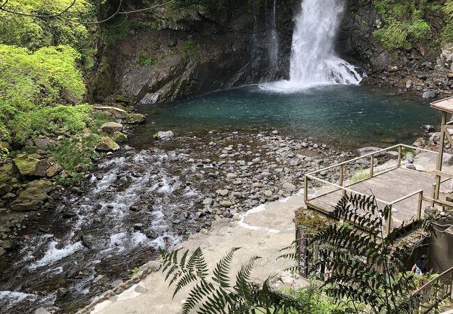河津温泉郷 今井浜のおすすめ観光スポット クチコミ人気ランキングtop フォートラベル 静岡県