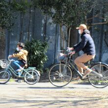 レンタサイクルも楽しそう