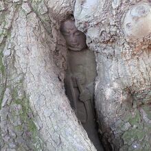 『抱かれ地蔵』がだんだん中に入って行く気がします