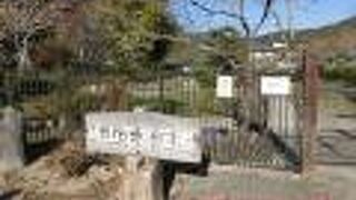 2ヶ所の菖蒲園に立ち寄りましたが、季節外れで