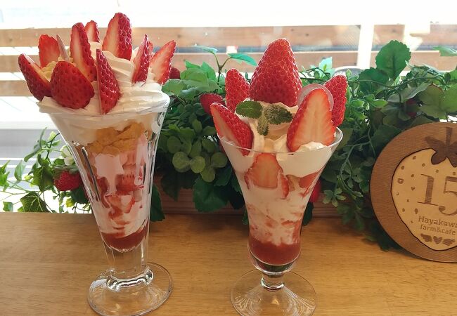 参拝後にパフェでひと息