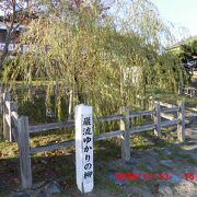 錦帯橋のすぐそばの槍倒し松の隣あたりに