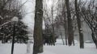 冬は雪に埋もれる