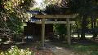 静寂に包まれた浜離宮庭園の緑豊かな小径にある小さな神社