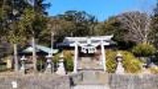 樹齢１２００年のご神木とともに