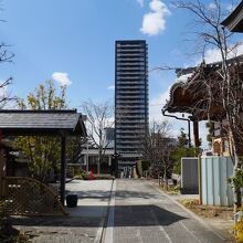 お寺敷地内にて撮影。