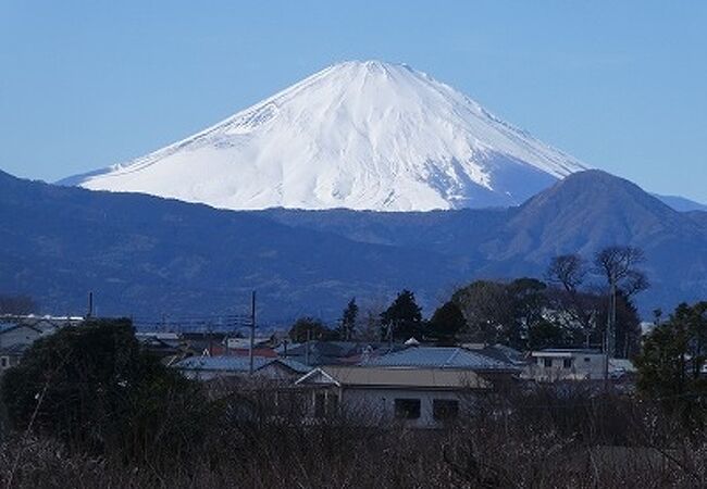 梅と富士山のコラボはできなかったけど