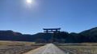 めちゃくちゃ目立つ