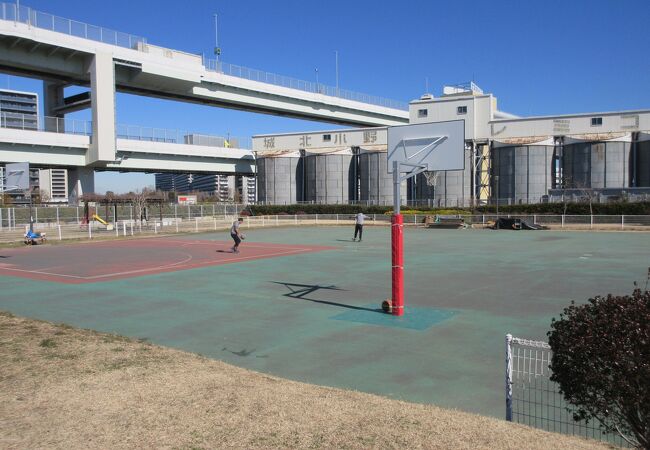 広々とした、バスケットボールやスケートボードが練習できる公園です