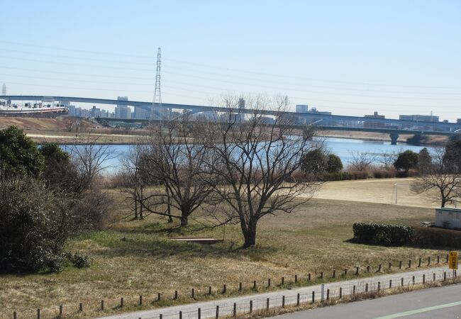 荒川河川敷運動公園運動場 クチコミ・アクセス・周辺情報｜北千住・南