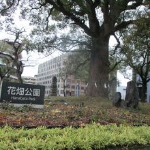 再開発されたそうです