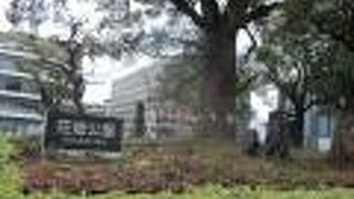 桜町バスターミナルの近く