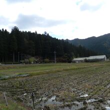 見えている鳥居の右手に池があります