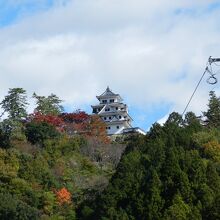 外に出ると、郡上八幡城が見えました