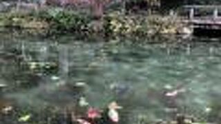 大きな期待はせずに訪れましょう（笑）