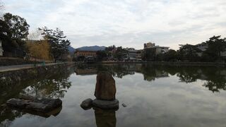 興福寺の放生池