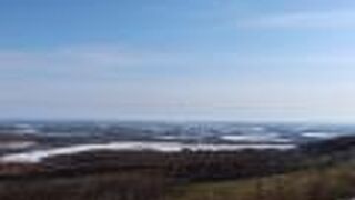 冬でも良くわからない。